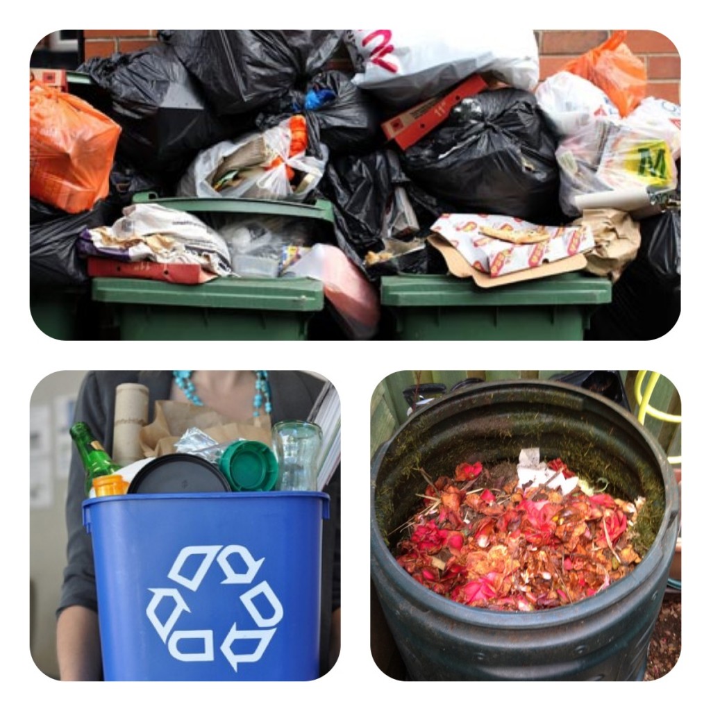 Dustbin or compost and recycle bin?