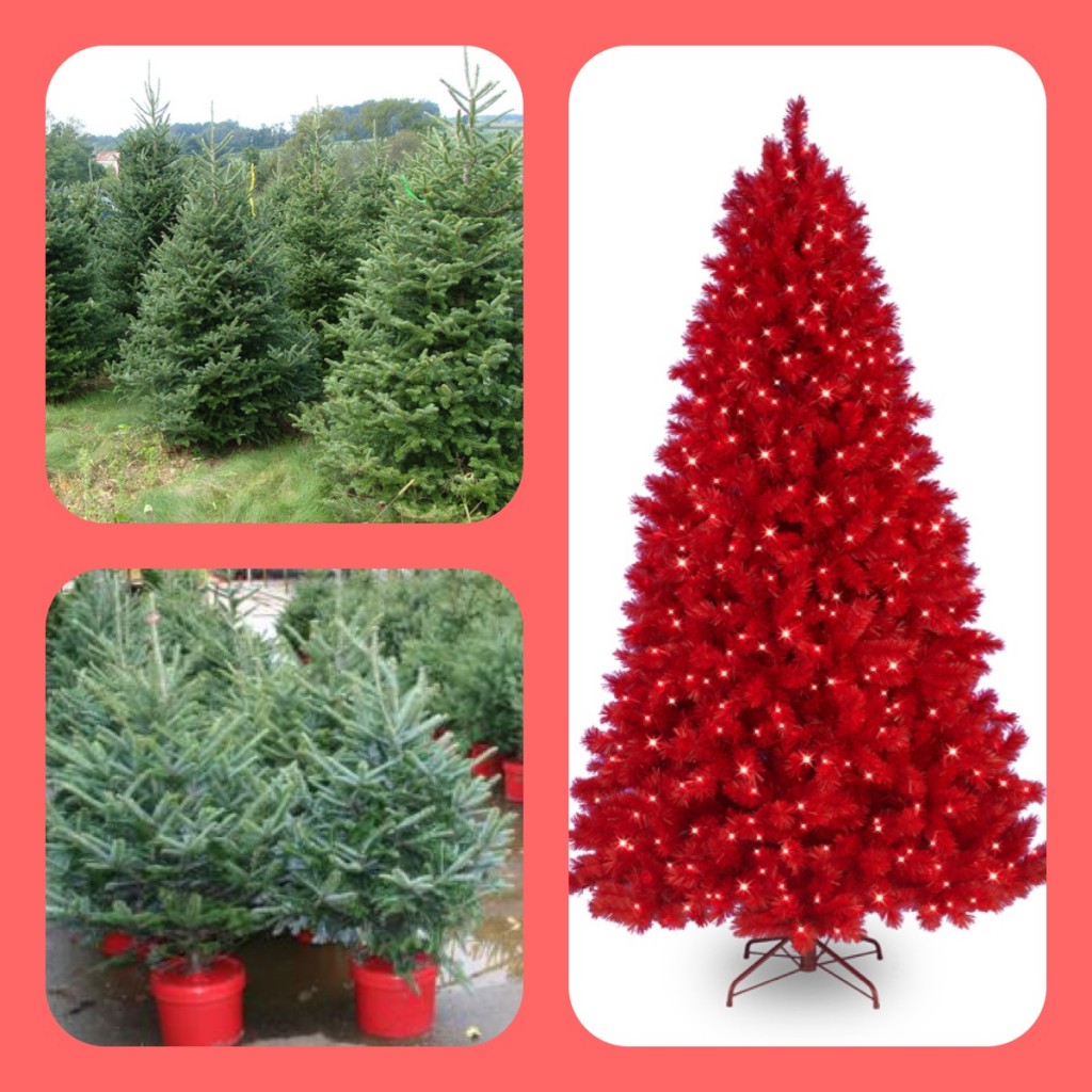 Artifical or locally grown Christmas tree?