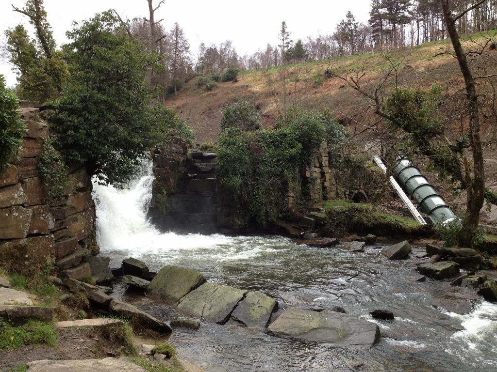 Hydropower installation and restoration of Penllergare Valley Woods