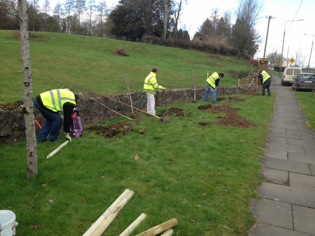 Ferns Tidy Towns Group planting a copse of trees