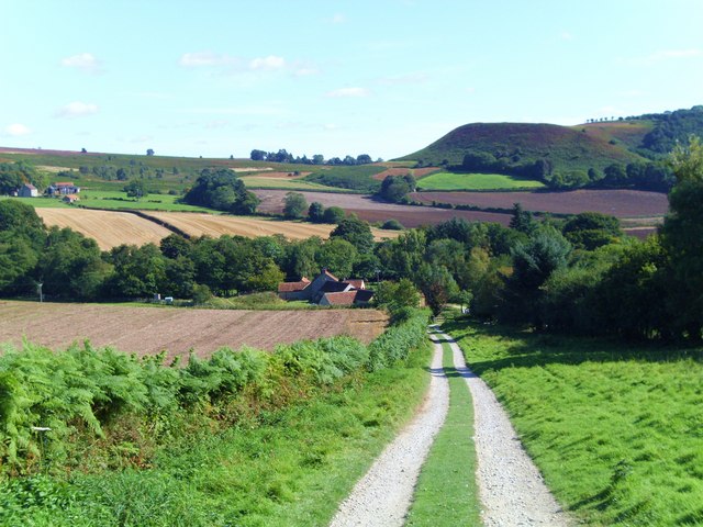 Photo Credit: Track to Lowna Mill-_geograph.org.uk_-_1522504