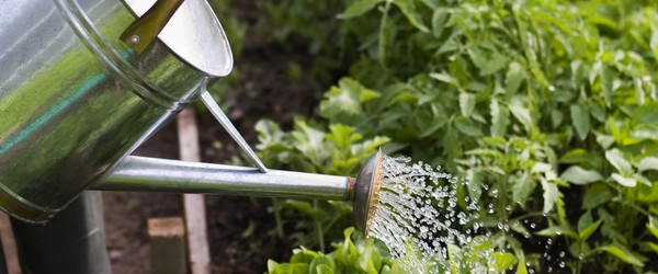 Credit: How 2 save water