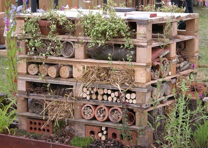 Building an Insect Hotel for Winter Hibernation. 