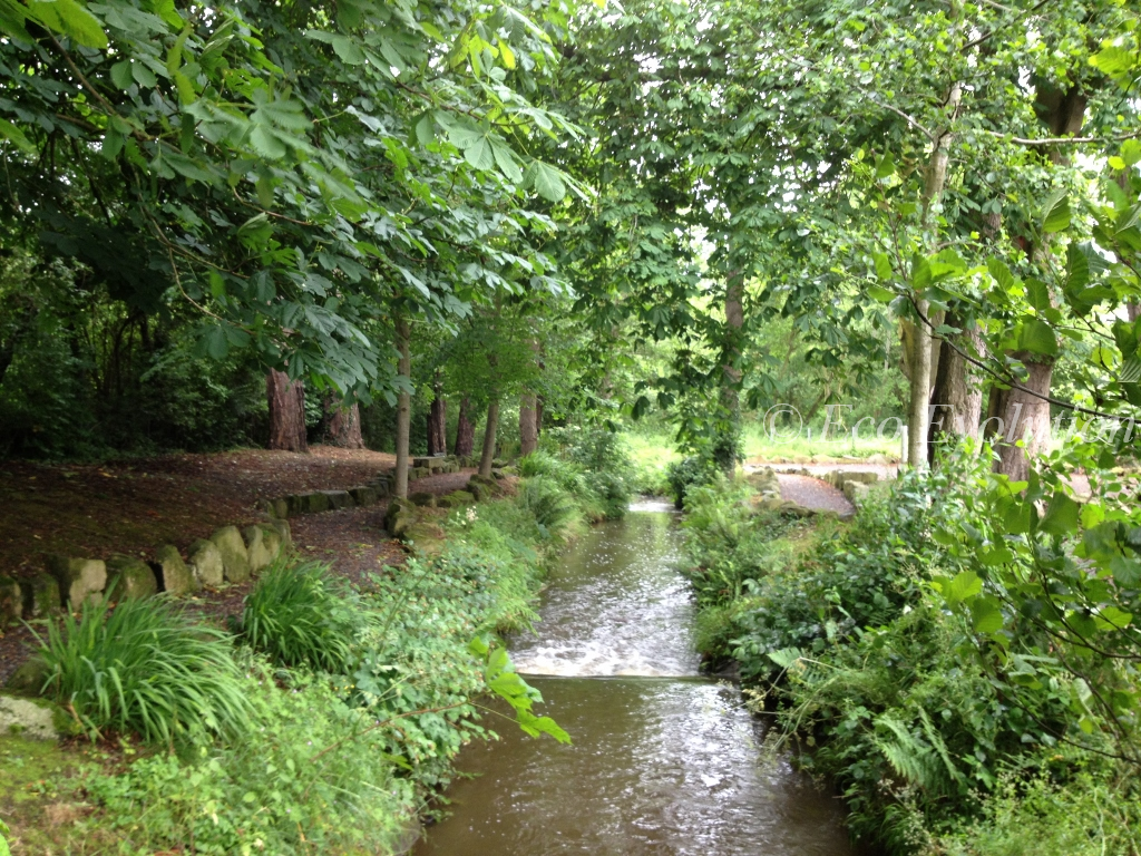 Riverdale Water Mill on the shores of Lough Neagh
