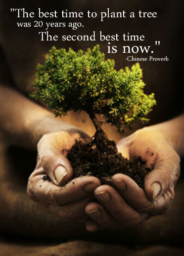 National Tree Week 2016